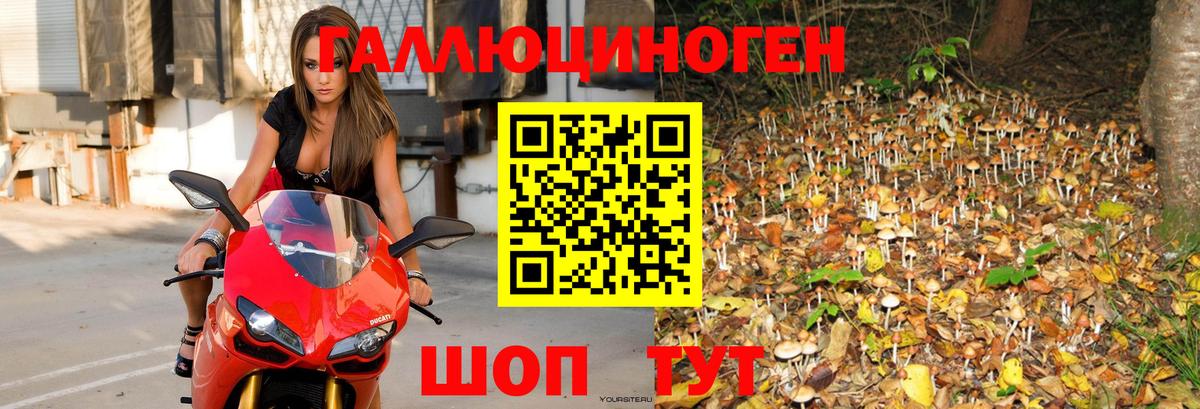 Галлюциногенные грибы мицелий Елабуга